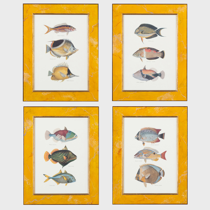 Appraisal: th st Century School Fish A Group of Four Four