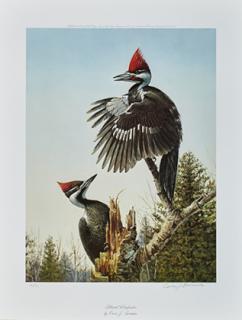 Appraisal: Three Prints Three PrintsOwen J Gromme - Pileated Woodpecker signed