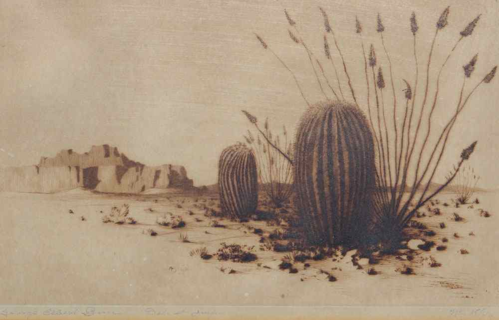 Appraisal: BURR George Elbert American - ''Barrel Cactus'' number one etching