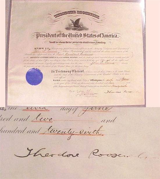 Appraisal: Appointment by Theodore Roosevelt of John B Turner to First