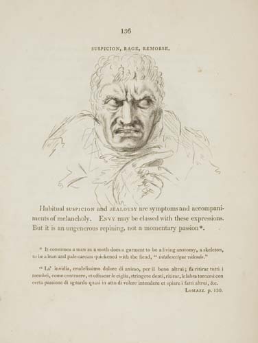 Appraisal: Essays on the Anatomy of Expression in Painting engraved plates