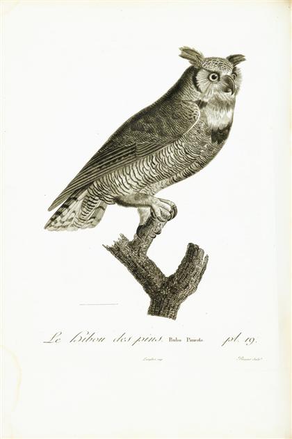 Appraisal: vols Vieillot Louis Jean Pierre Histoire Naturelle de Oiseaix de