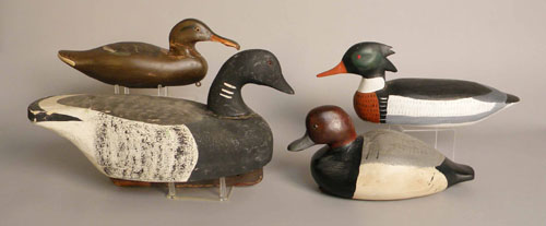 Appraisal: Group of four duck decoys th c including a merganser