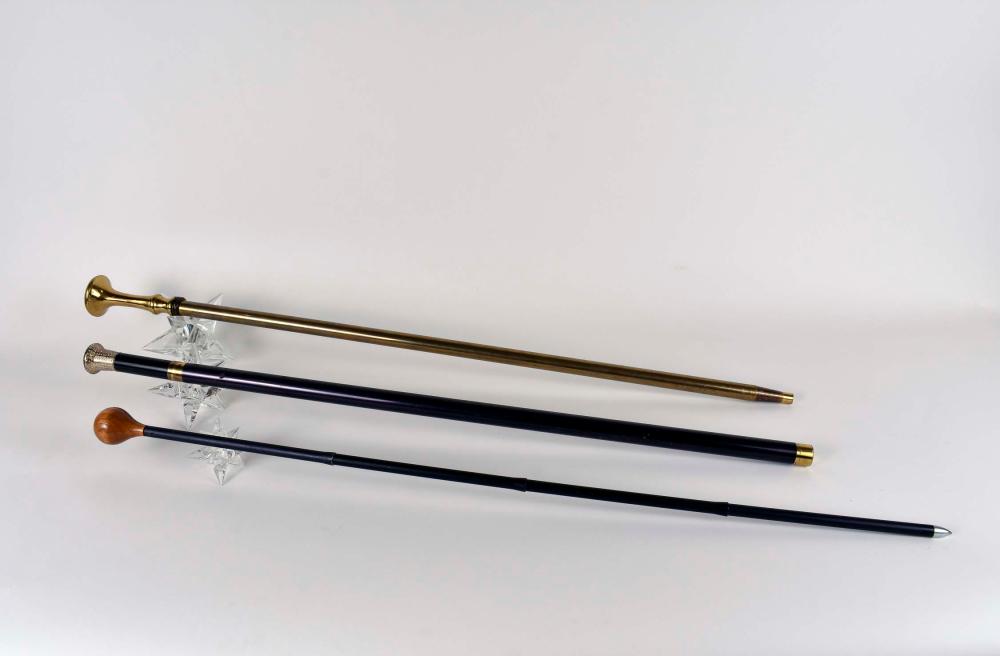 Appraisal: THREE VARIOUS METAL WALKING STICKS th Century The first a