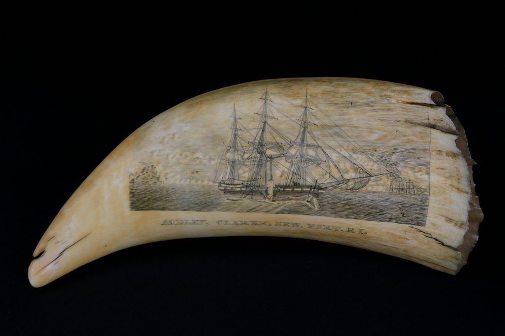 Appraisal: Fine Scrimshaw Sperm Whale Tooth The Audley Clarke of Newport