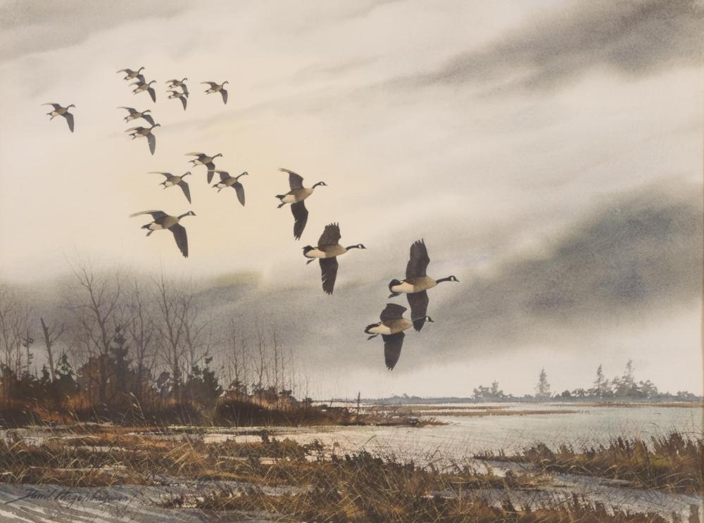 Appraisal: DAVID HAGERBAUMER California Illinois - watercolor on paper Canadian Geese