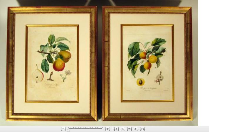 Appraisal: Four hand colored stipple engravings of fruitpoiteau paris