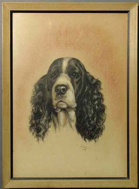 Appraisal: Crayon portrait of a spaniel signed Terry x