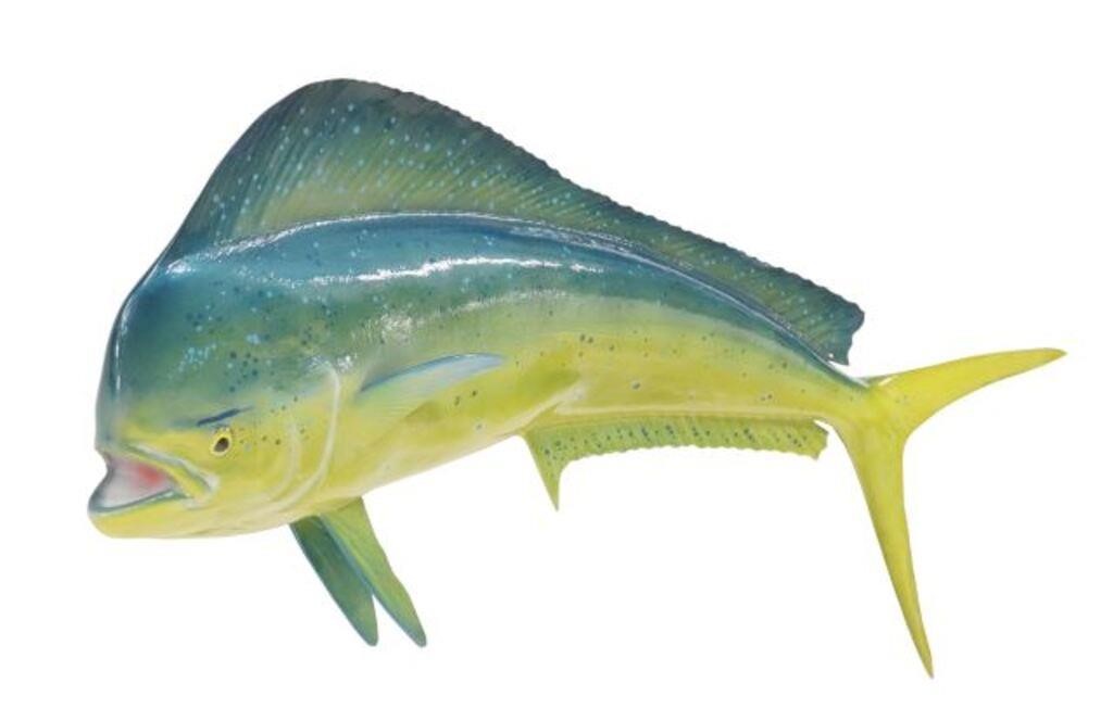 Appraisal: Model replica of a Mahi Mahi dolphin fish Mount This