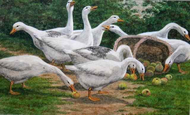 Appraisal: Elizabeth Mary Alderson - A flock of geese pecking at