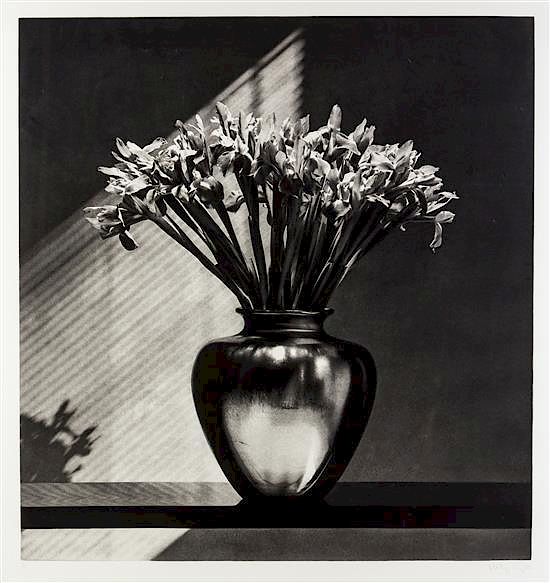 Appraisal: Robert Mapplethorpe American - Irises Robert Mapplethorpe American - Irises