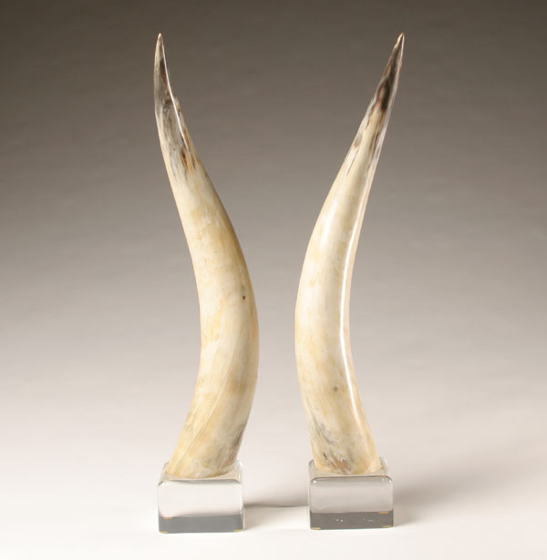 Appraisal: Pair longhorn steer horns mounted on beveled lucite cubes Overall