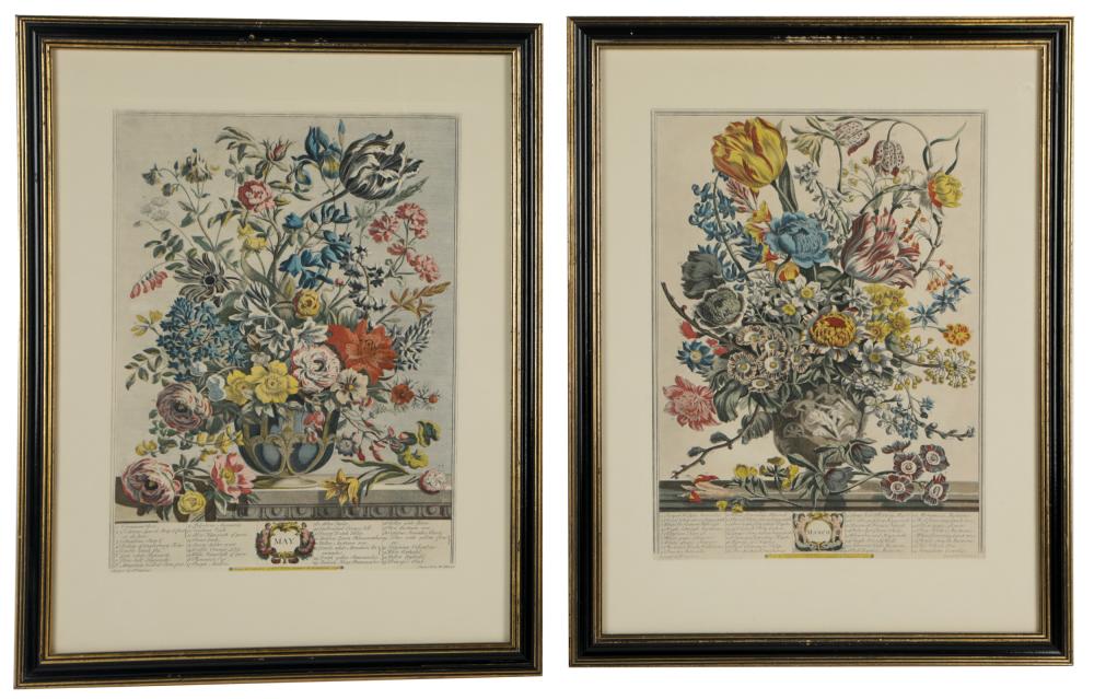 Appraisal: PAIR OF FRAMED BOTANICAL PRINTSmodern reproduction process prints x inches