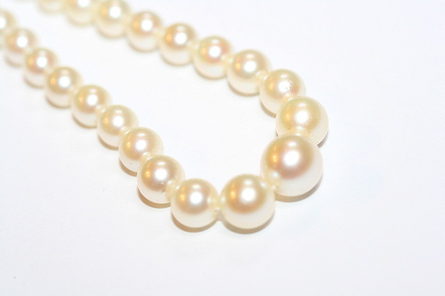 Appraisal: A GRADUATED CULTURED PEARL NECKLACE by Mikimoto with pearl set