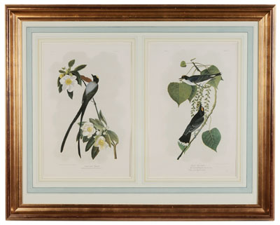 Appraisal: After John James Audubon New York - Forked-Tailed Fly Catcher