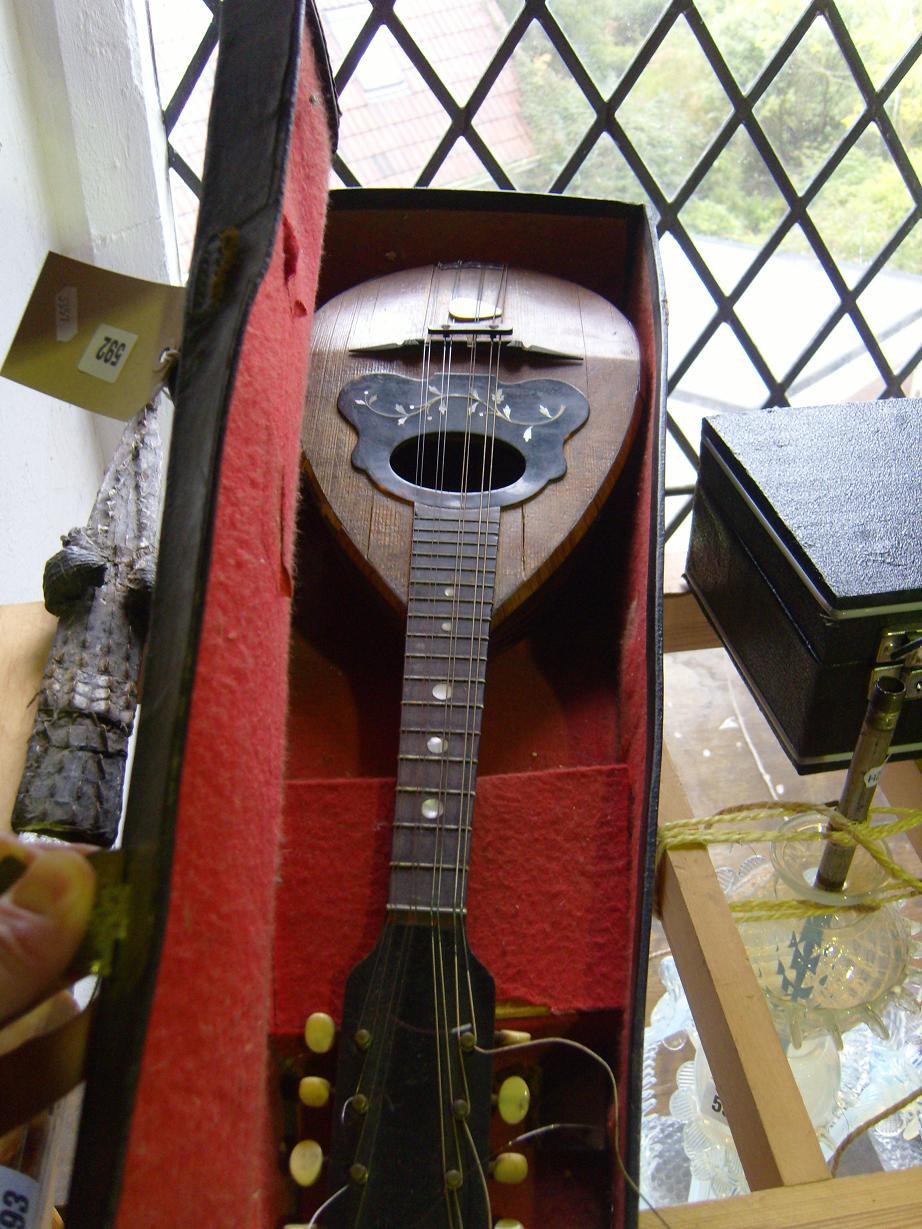 Appraisal: A cased mandolin -