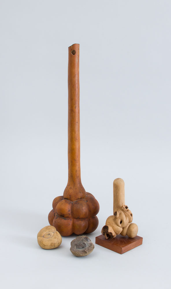 Appraisal: PETRIFIED SEA URCHIN AND A MACE-FORMED GOURD Together with a