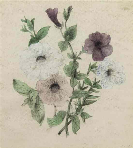 Appraisal: British School th century Flowers watercolor x inches