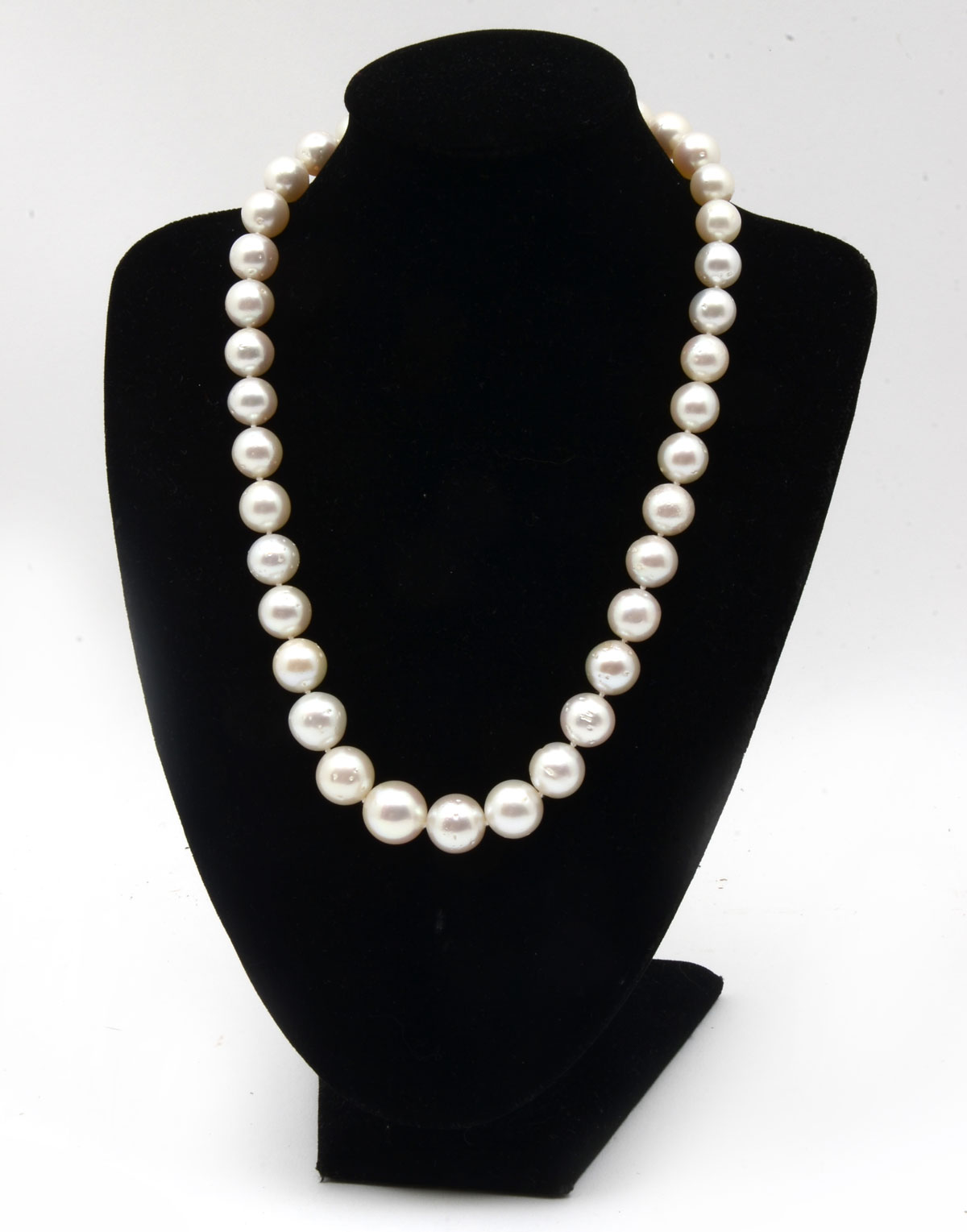 Appraisal: SOUTH SEAS WHITE PEARL NECKLACE WITH K CLASP '' single