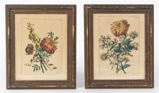 Appraisal: Sale Lot After Jean Baptiste Monnoyer Two Botanical Prints hand