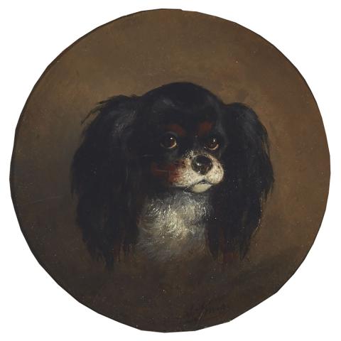 Appraisal: August Knip - MY FAVOURITE KING CHARLES SPANIEL Dutch Oil