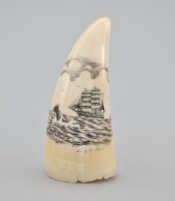 Appraisal: A Scrimshaw Sperm Whale Tooth by Yuet Shan A Natural