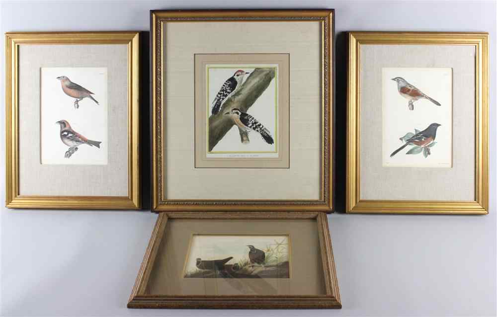 Appraisal: LE PETIT PIE VARIE ALONG WITH THREE OTHER BIRD PRINTS