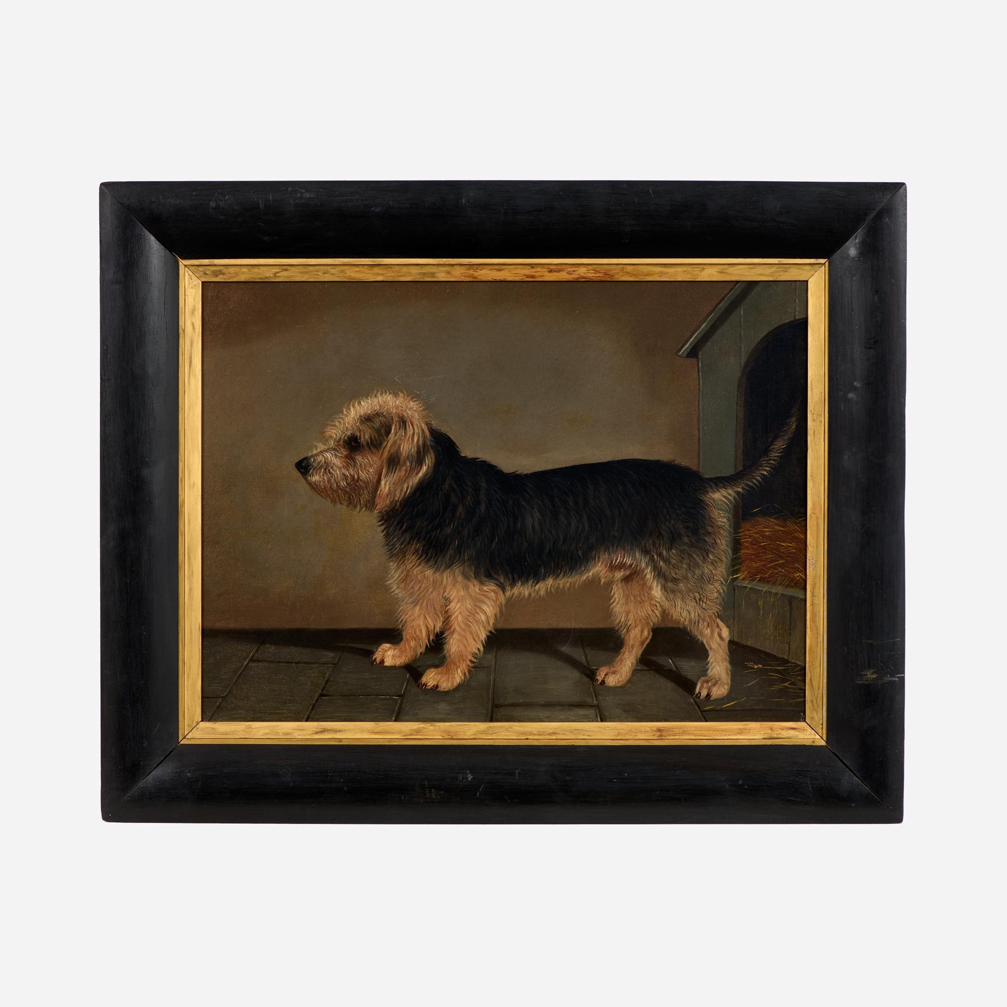 Appraisal: OIL OF A NORFOLK TERRIER TH C ENGLISH A th