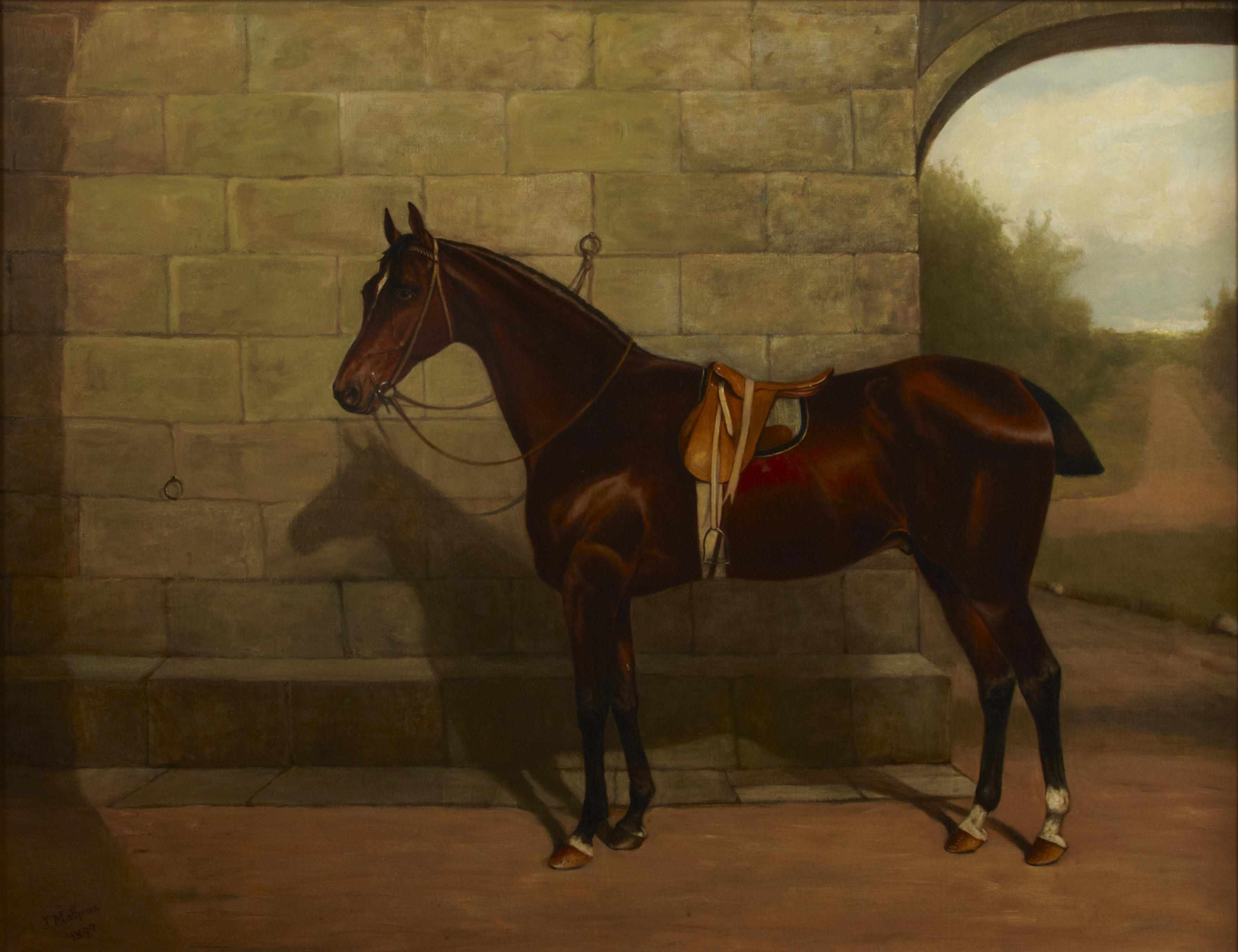 Appraisal: John Chester Mathews British fl - A chestnut race horse