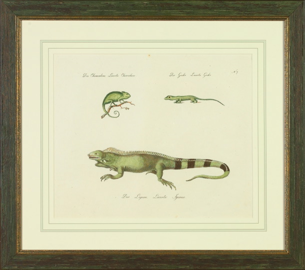 Appraisal: Carl Brodtman German th Century Reptiles trio of hand-colored engravings