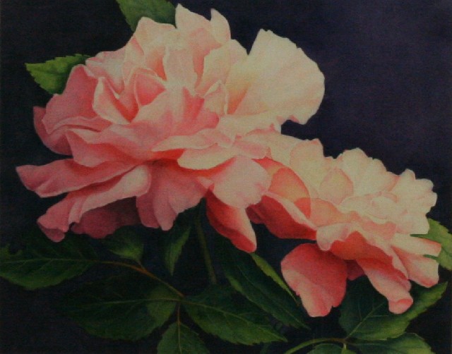 Appraisal: Diana F de Ville First Light Roses watercolour signed lower