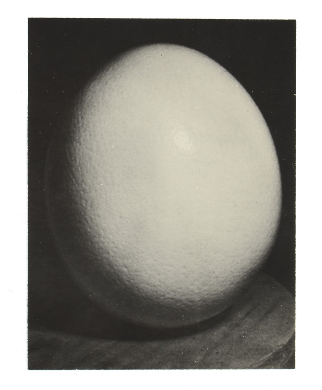 Appraisal: MAN RAY after American - ''Ostrich Egg'' Photograph c ''