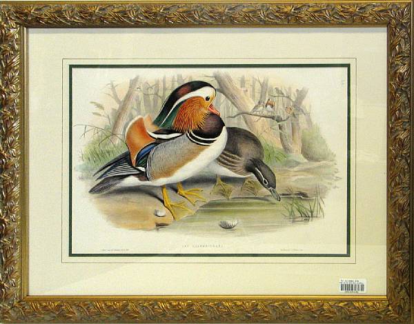 Appraisal: A set of four framed avian prints framed dimensions x