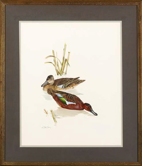 Appraisal: Ken Carlson American Texas b Cinnamon Teal watercolor sight x