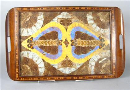 Appraisal: Mahogany and glazed specimen butterfly tray early th century With