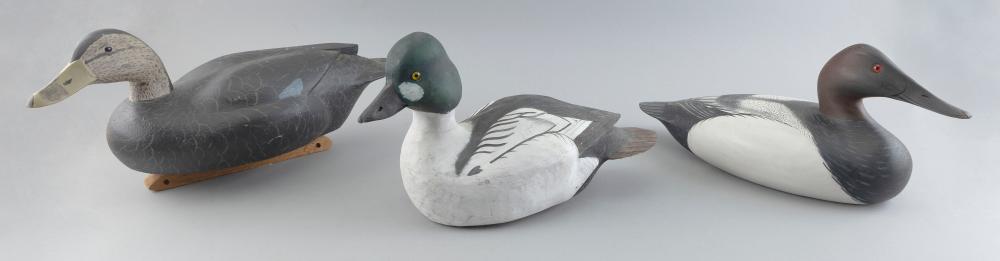 Appraisal: THREE MASSACHUSETTS DECOYS LATE TH CENTURY LENGTHS FROM TO THREE