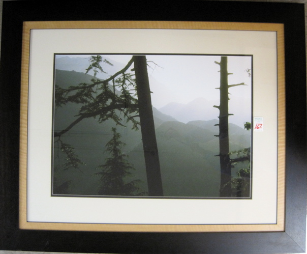 Appraisal: DAVID LORENZ WINSTON COLOR PHOTOGRAPHIC PRINT View from Dharmsala by