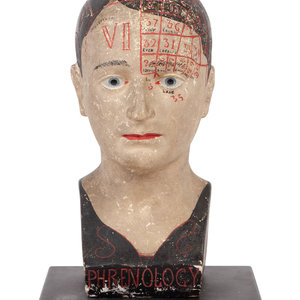 Appraisal: A Chalkware Phrenology Head American th Century with labeled quadrants