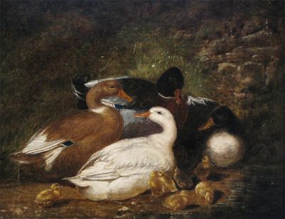 Appraisal: Circle of John Frederick Herring Senior - Ducks by a