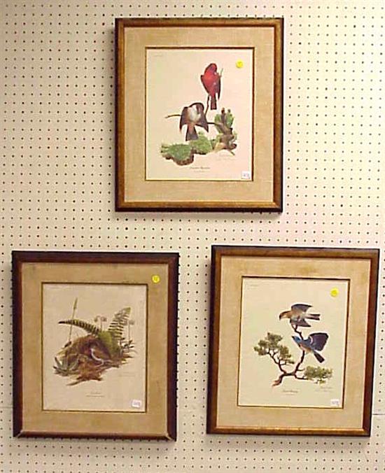 Appraisal: Ray Harm three prints depicting birds pencil signed lower right