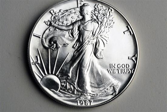 Appraisal: Silver American Eagle oz Bullion Coins