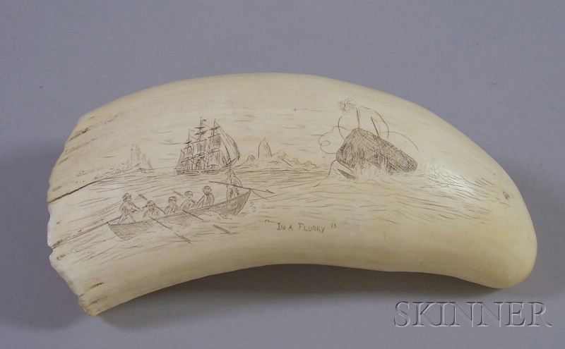 Appraisal: In a Flurry Scrimshaw Decorated Whale's Tooth lg in