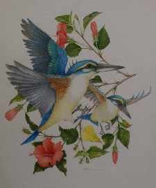 Appraisal: Peter Longhurst born Kingfishers watercolour each signed 'Peter Longhurst' lower