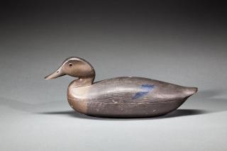 Appraisal: Black Duck George A Harvey - Rumson NJ c A