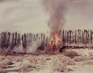 Appraisal: Photograph by Richard Misrach Richard Misrach American b Desert Fire