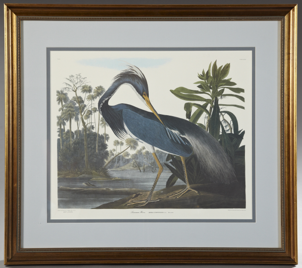 Appraisal: After John James Audubon American - Louisiana Heron limited edition