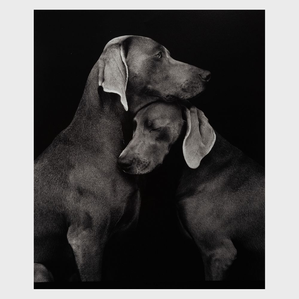 Appraisal: William Wegman b Friends Pigment print signed titled and dated