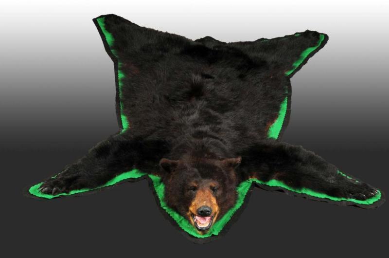 Appraisal: Pennsylvania Black Bear Rug Condition Very Good Size - x