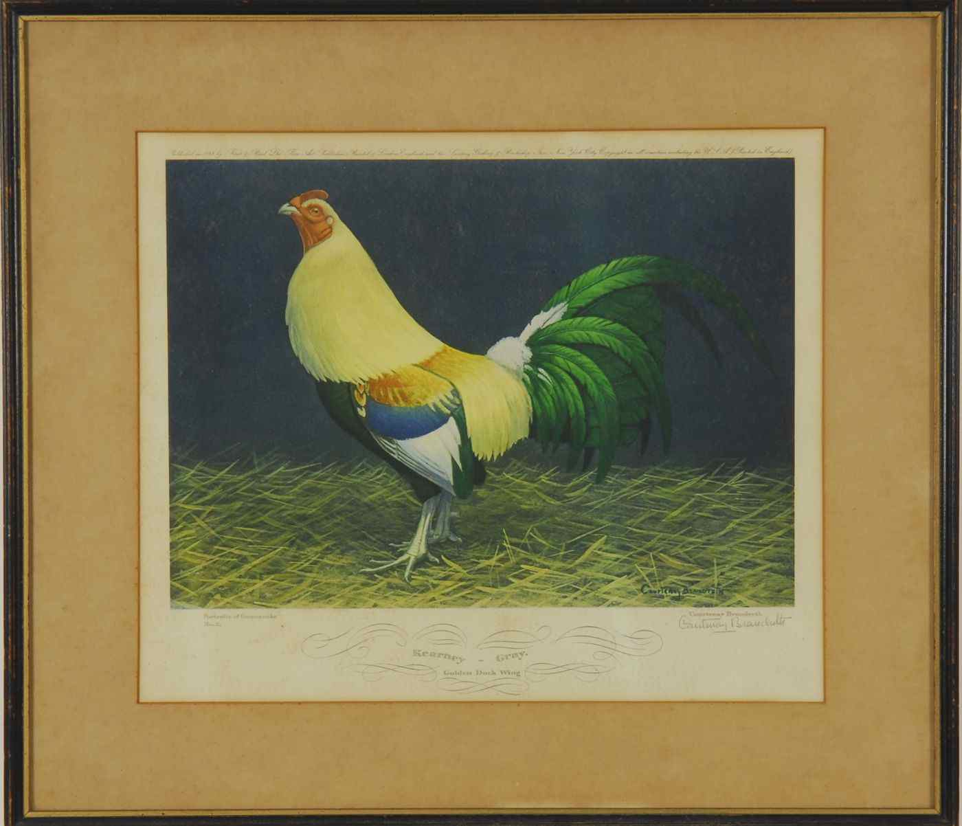 Appraisal: PAIR OF FRAMED COLORED COCK'' PRINTS''The Wisconsin Red Shuffler'' and