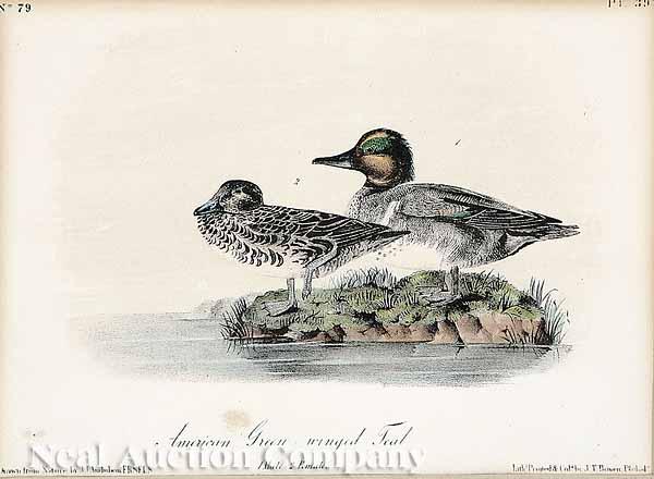 Appraisal: After John James Audubon American - Blue-winged Teal Clipper Rail